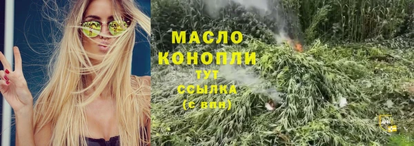 дмт Алексин