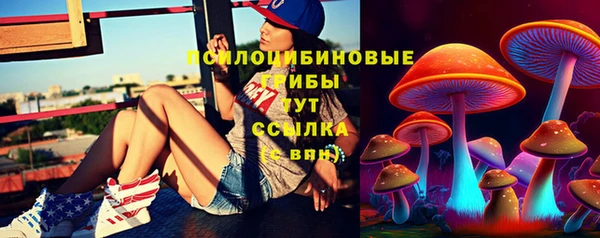 крисы Алексеевка