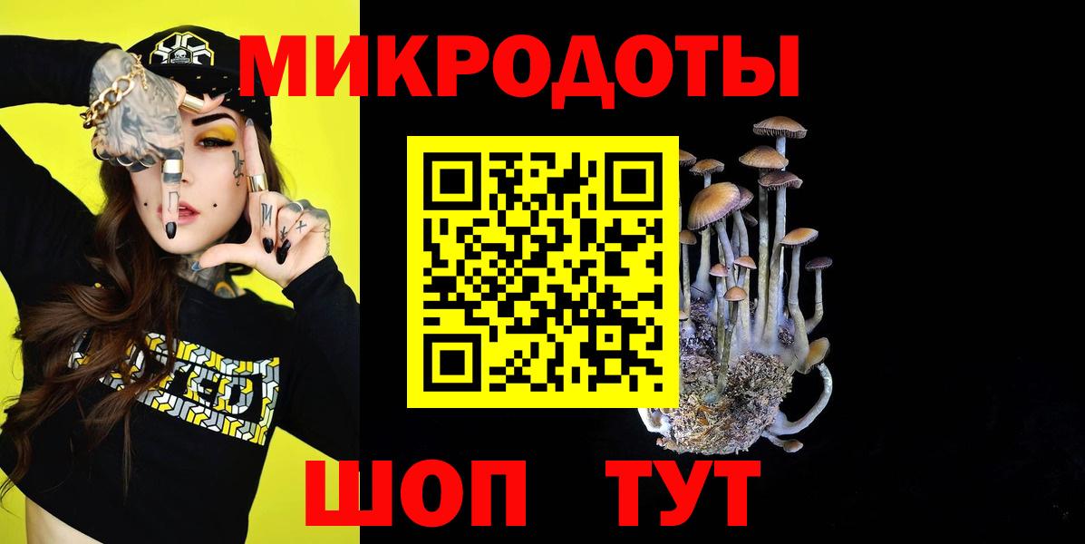 Галлюциногенные грибы Psilocybe Петрозаводск